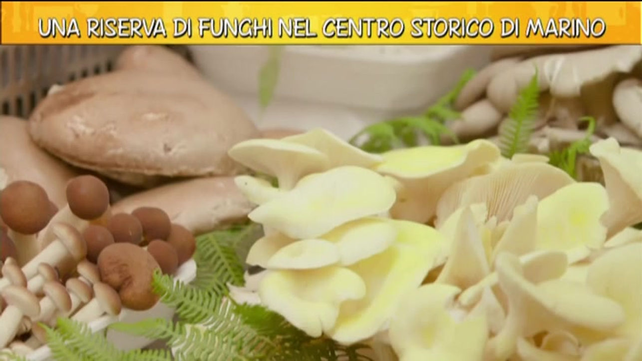Video "Ricette all'italiana"